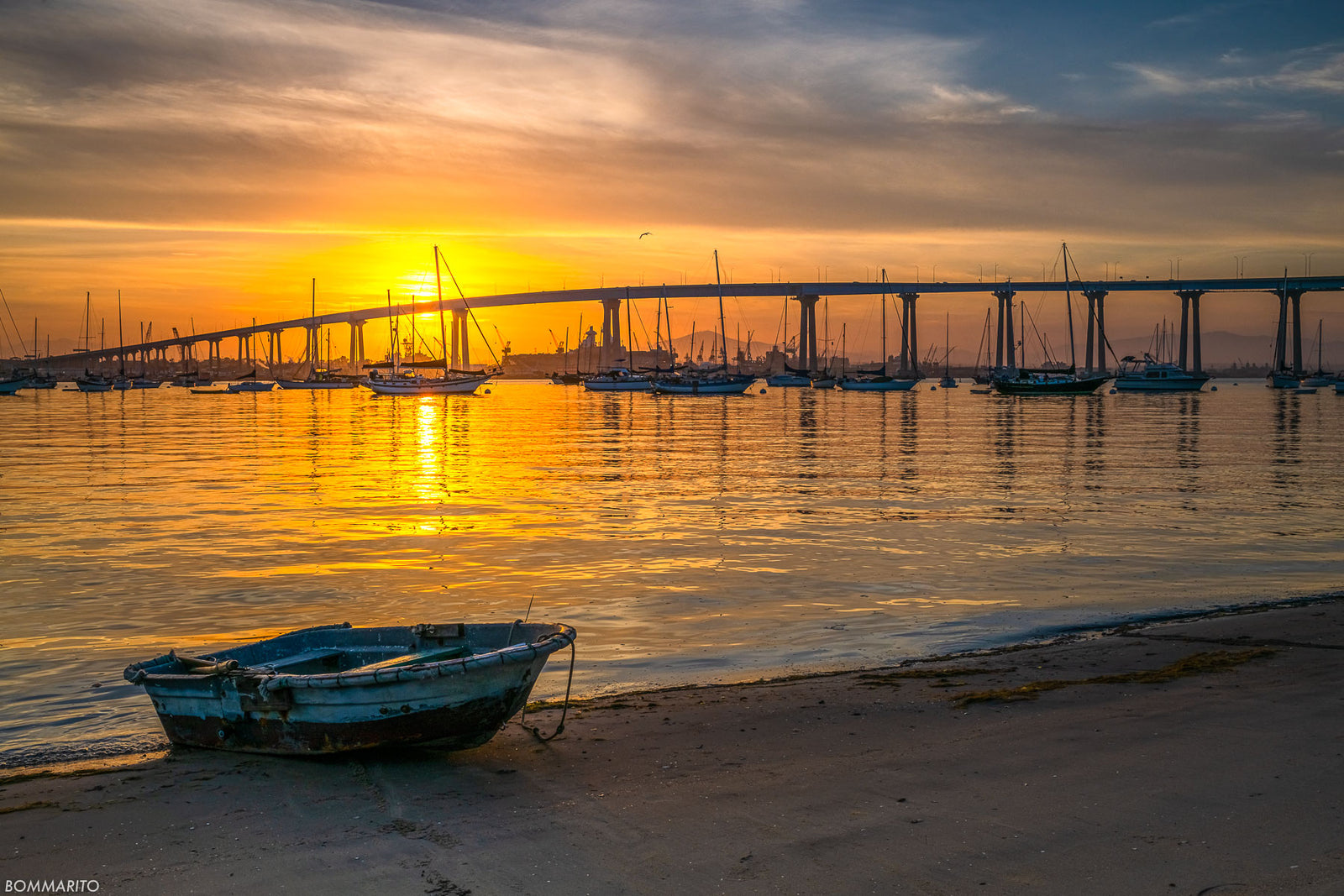 Coronado Gold