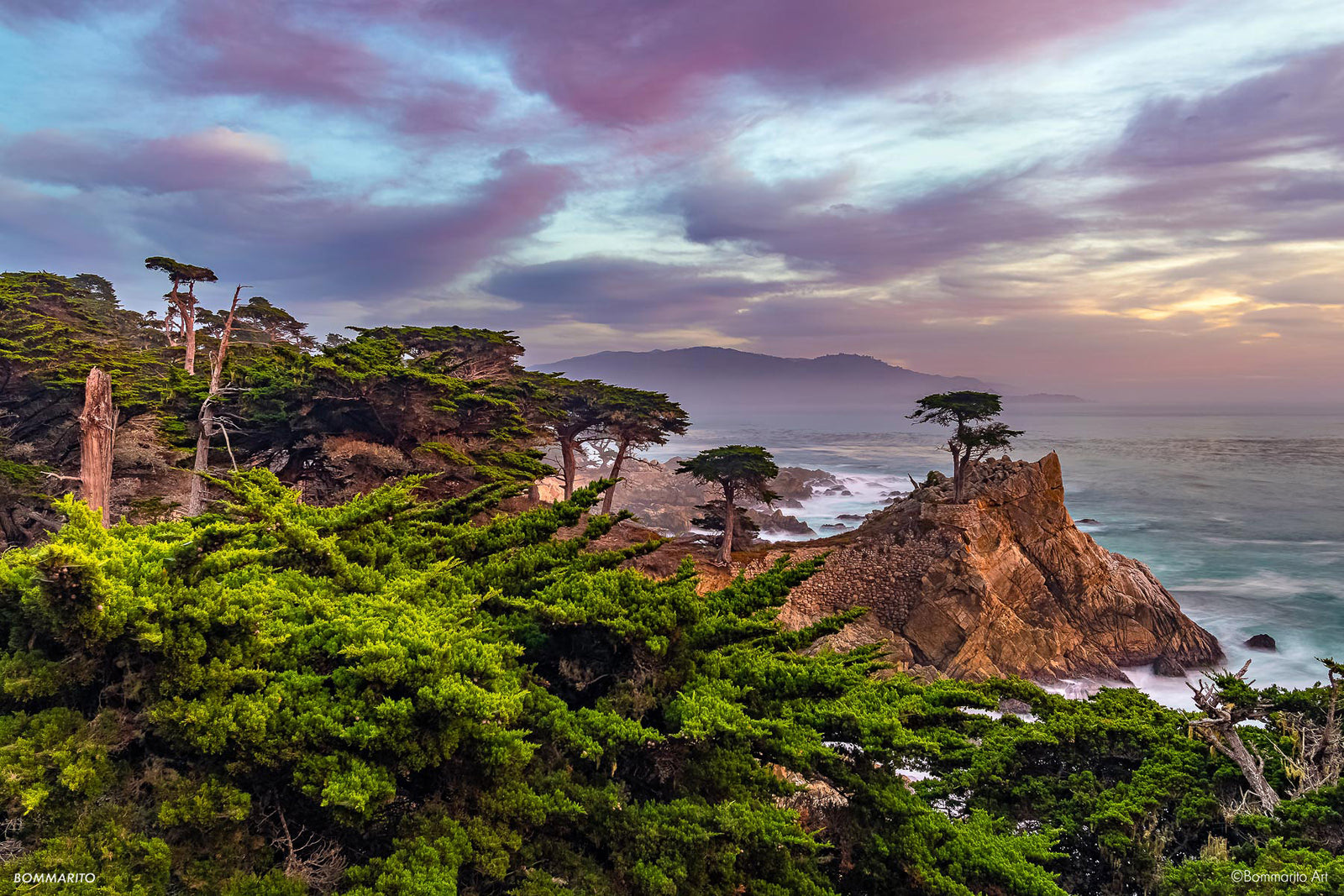Cypress Grove