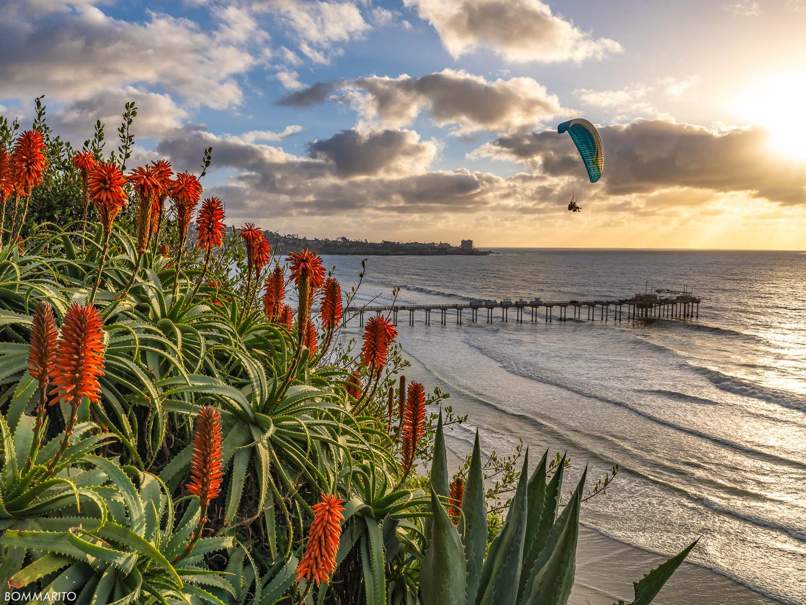 Natures Paradise