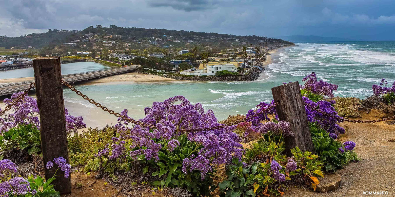 Del Mar Superbloom