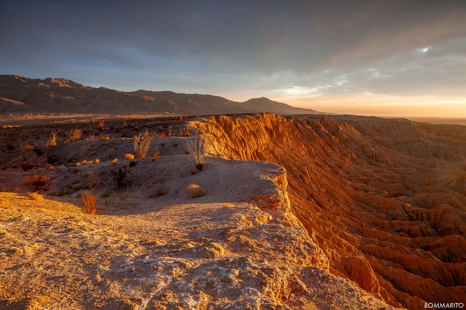 Desert Gold