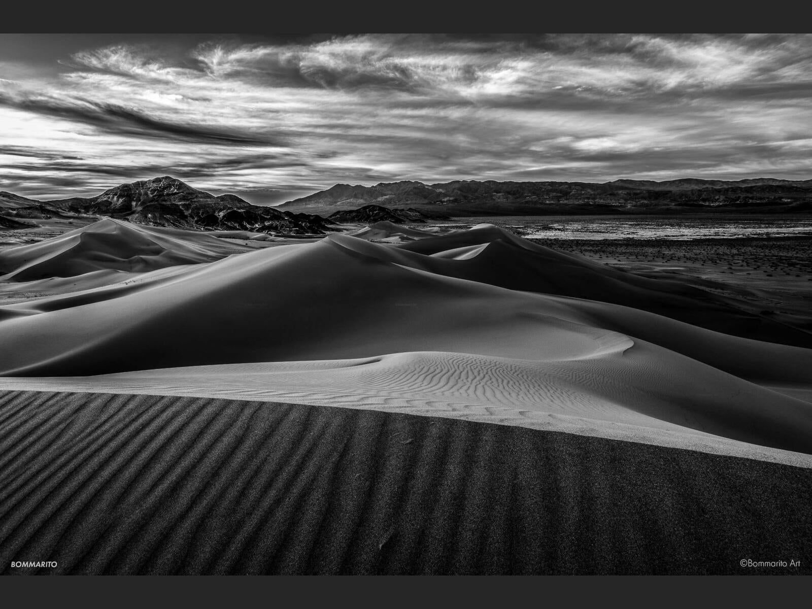 Desert Solitude