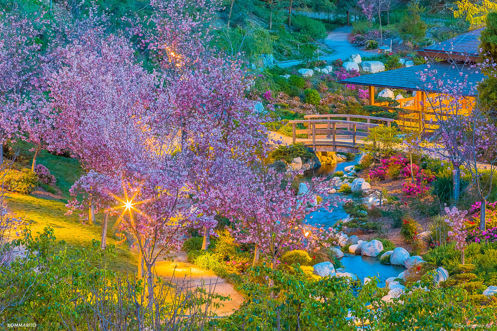 Dream Land