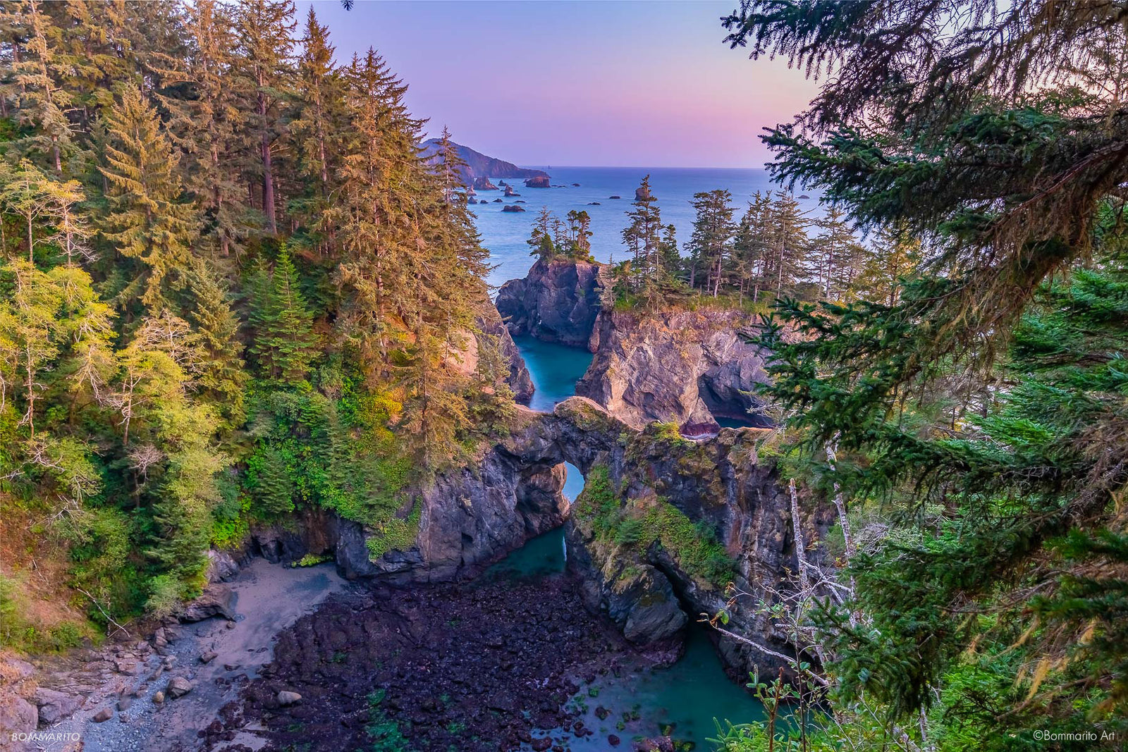 Enchanting Coast