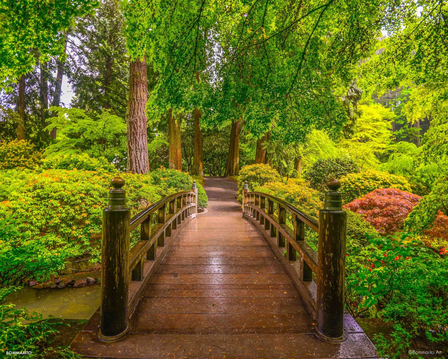 Enchanting Garden