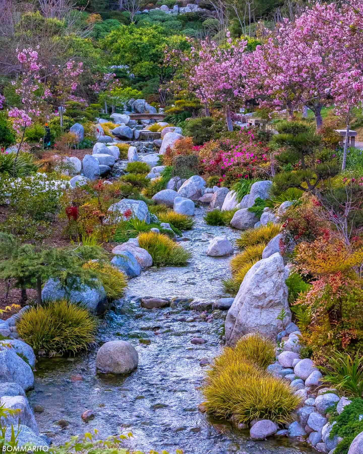 Garden Bliss