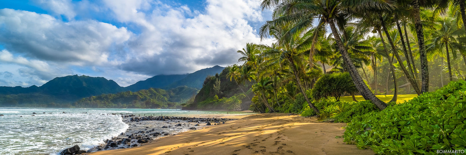 Hanalei Palms