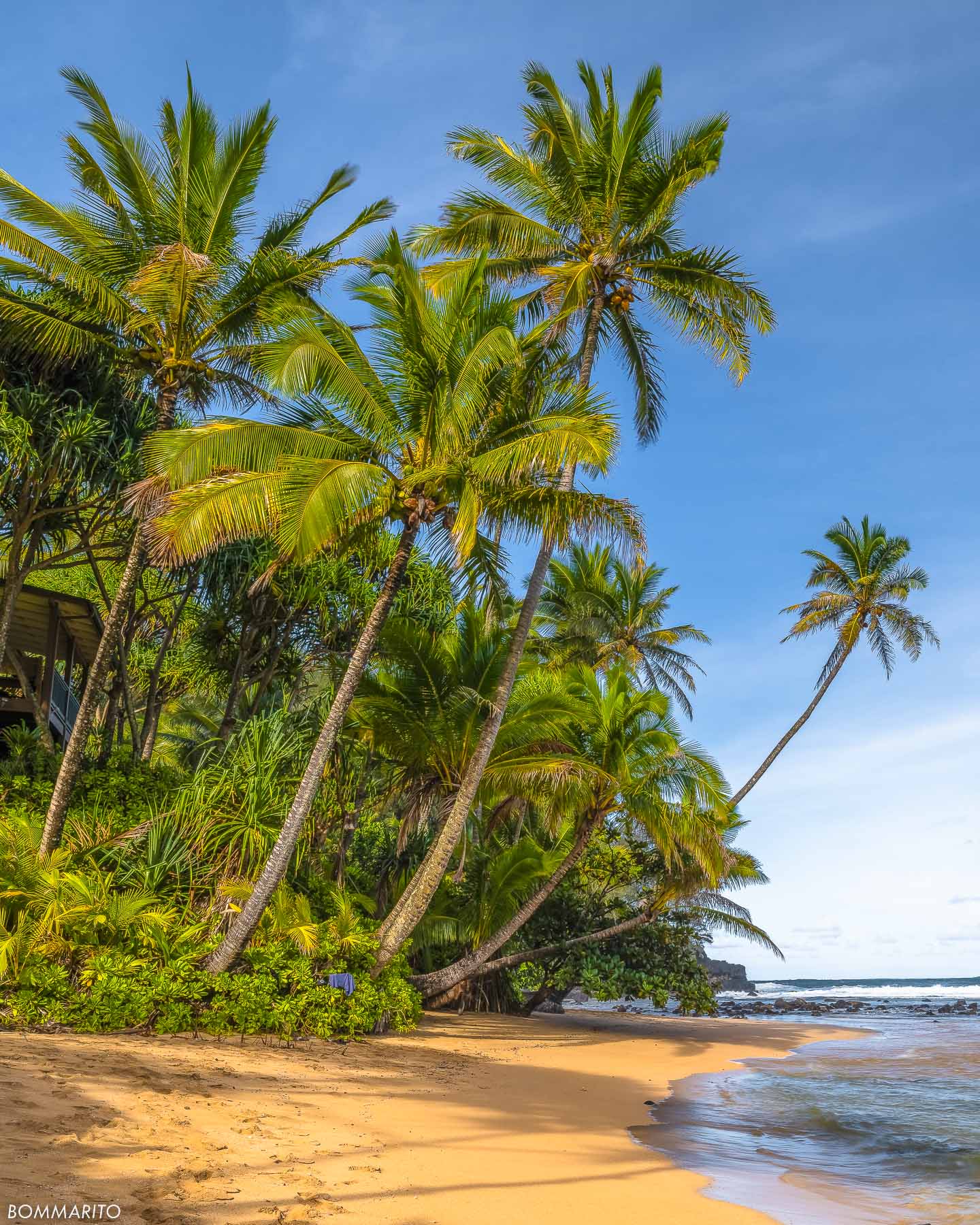 Hanalei Palms