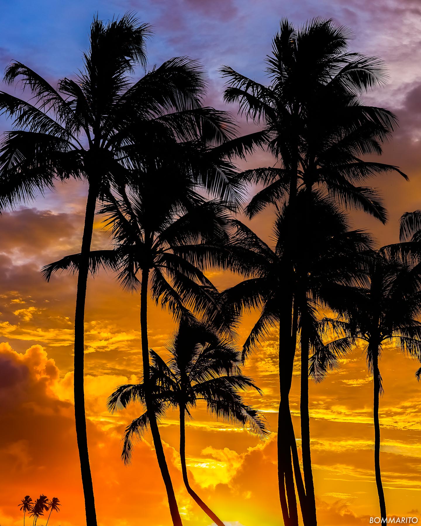 Hawaiian Sunrise