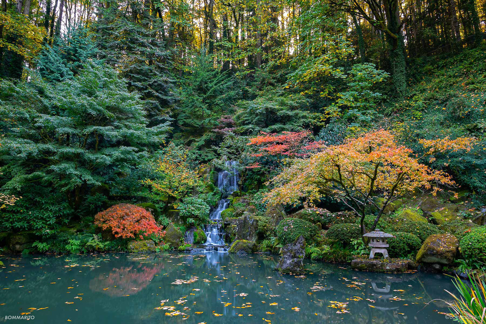 Healing Pond