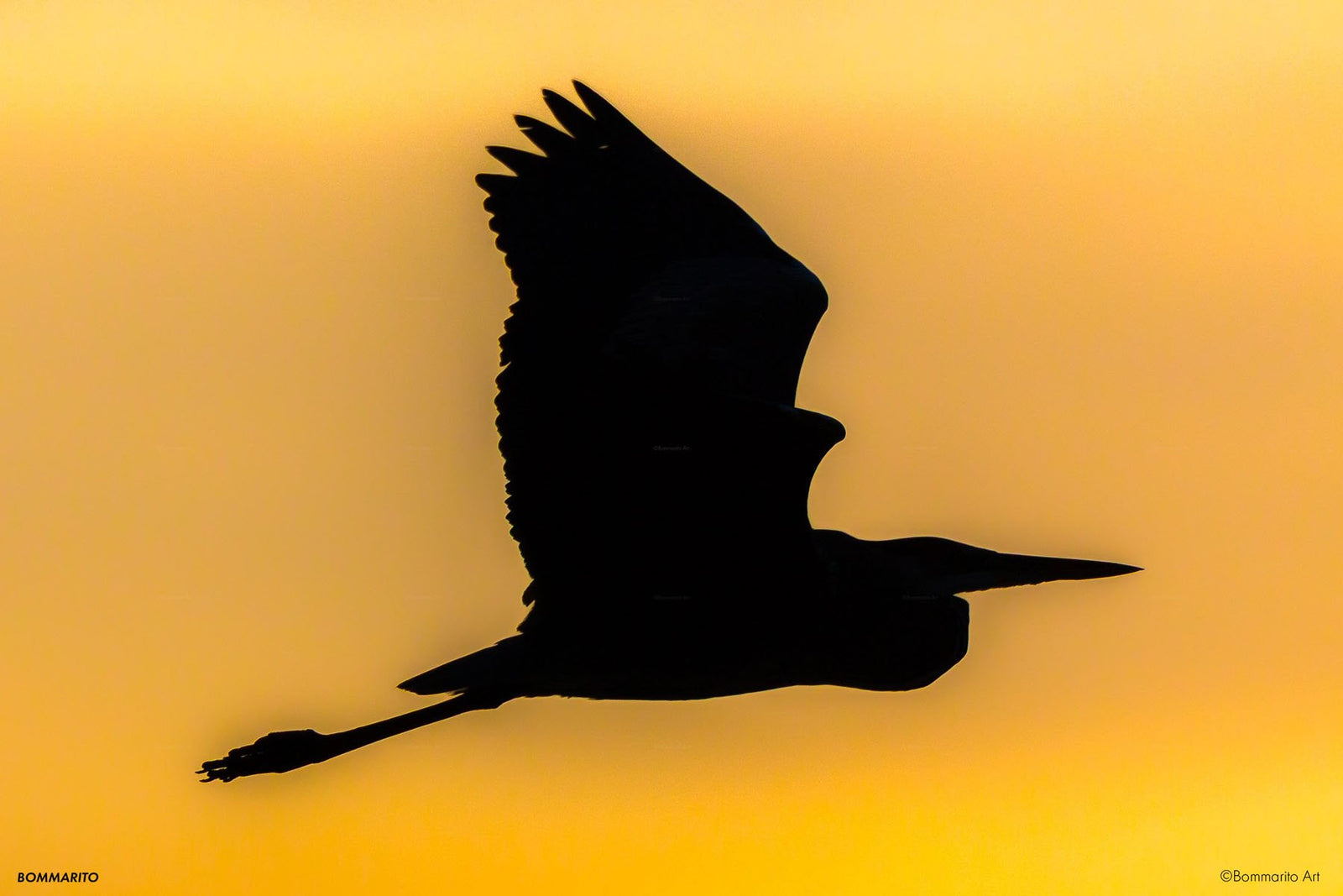 Heron Twilight