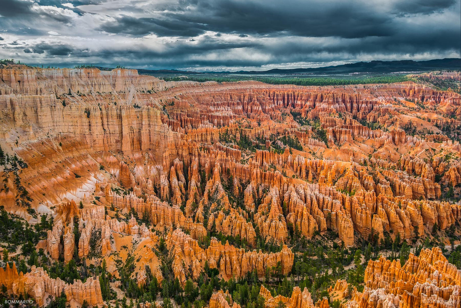 Hoodoos of Bryce Canyon