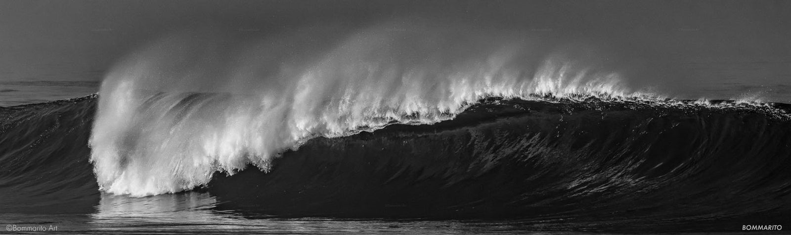 Horseshoe Swell