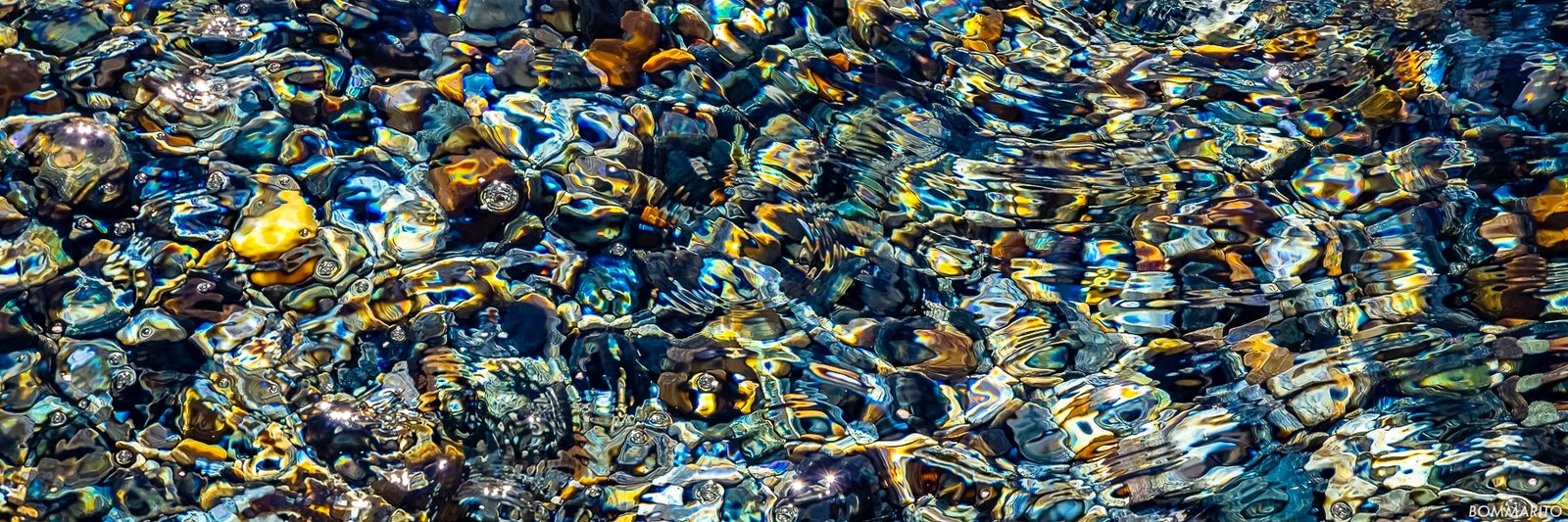 Jewels of the Sea