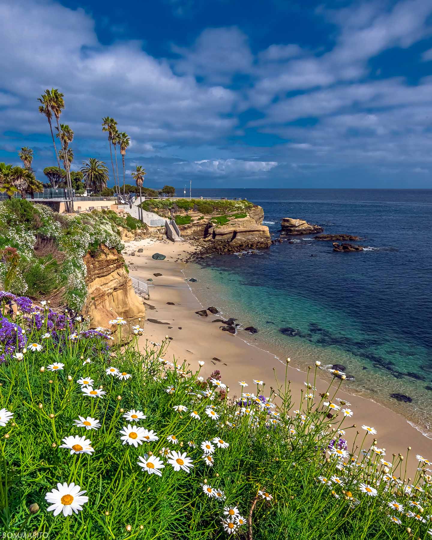 La Jolla Cove
