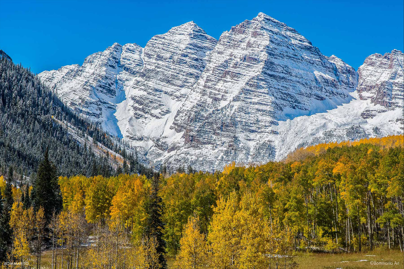 Majestic Autumn