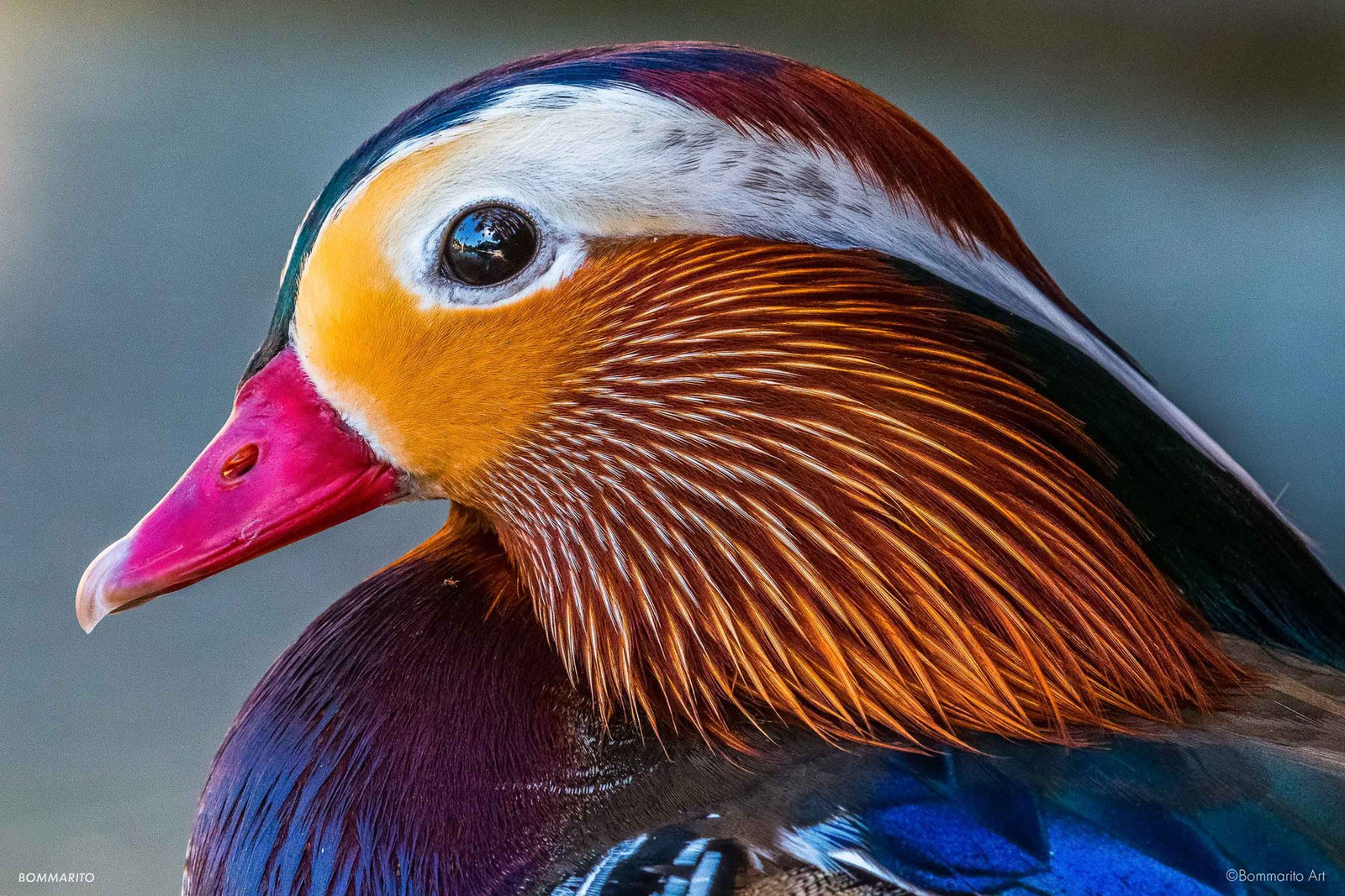 Mandarin