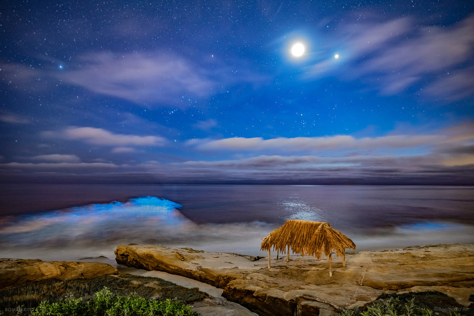 Moonlight Bioluminescence