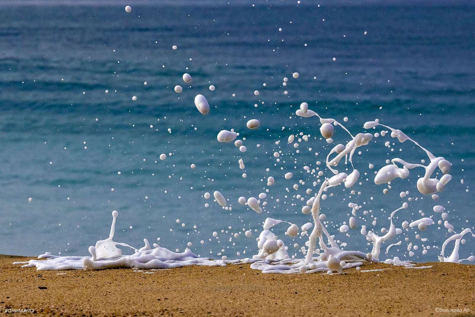 Ocean Joy