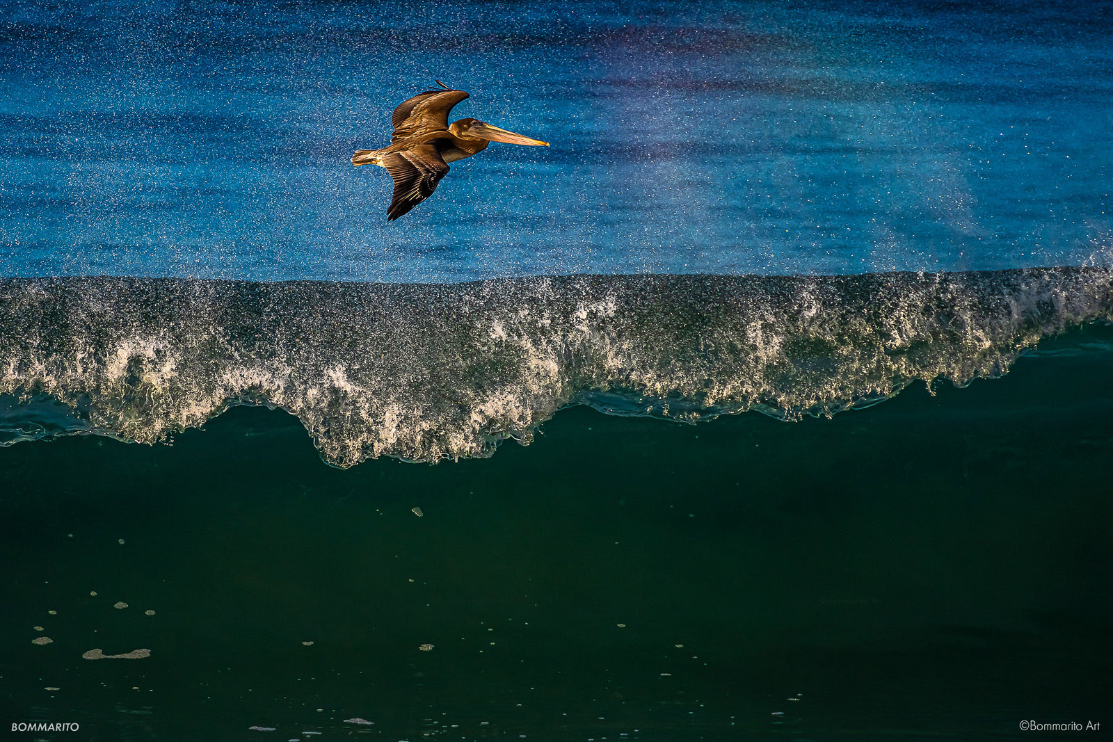 Pelican Glider