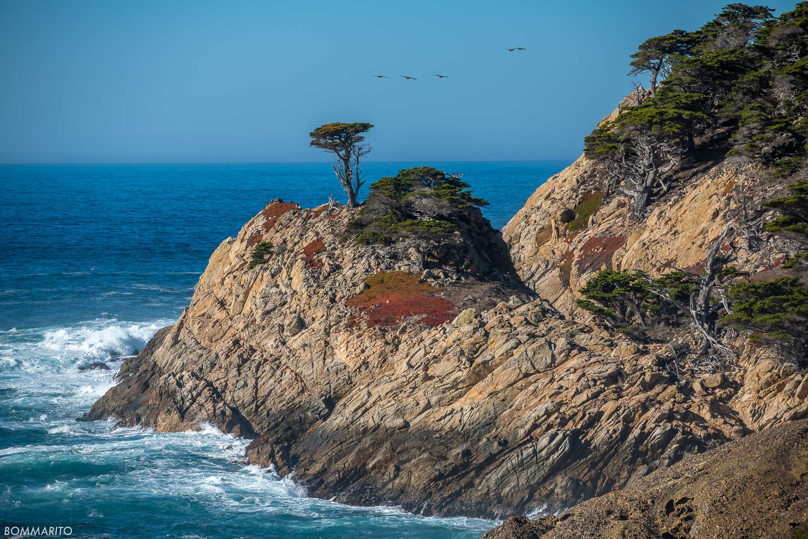 Point Lobos Natural Reserve
