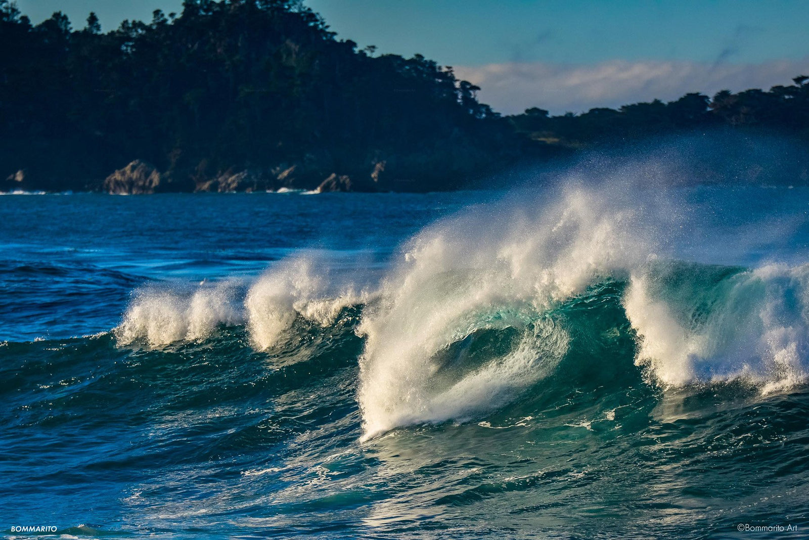 Point Lobos