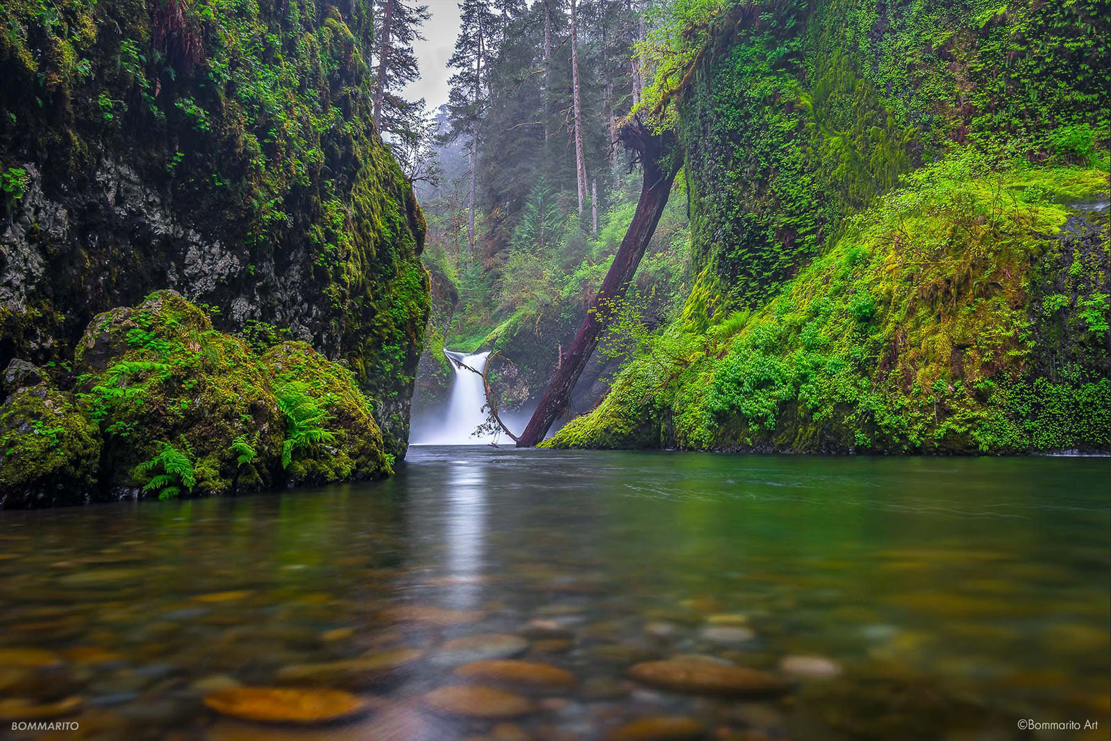 Punchbowl Falls