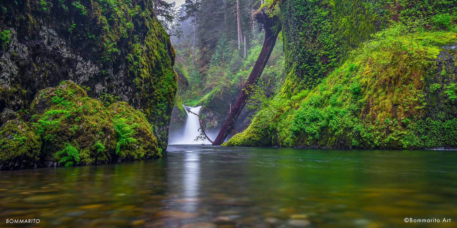 Punchbowl Waterfall - Eagle Creek