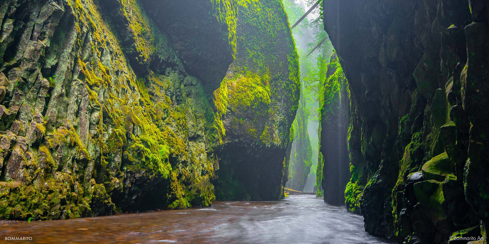Rainforest Botanical Gorge