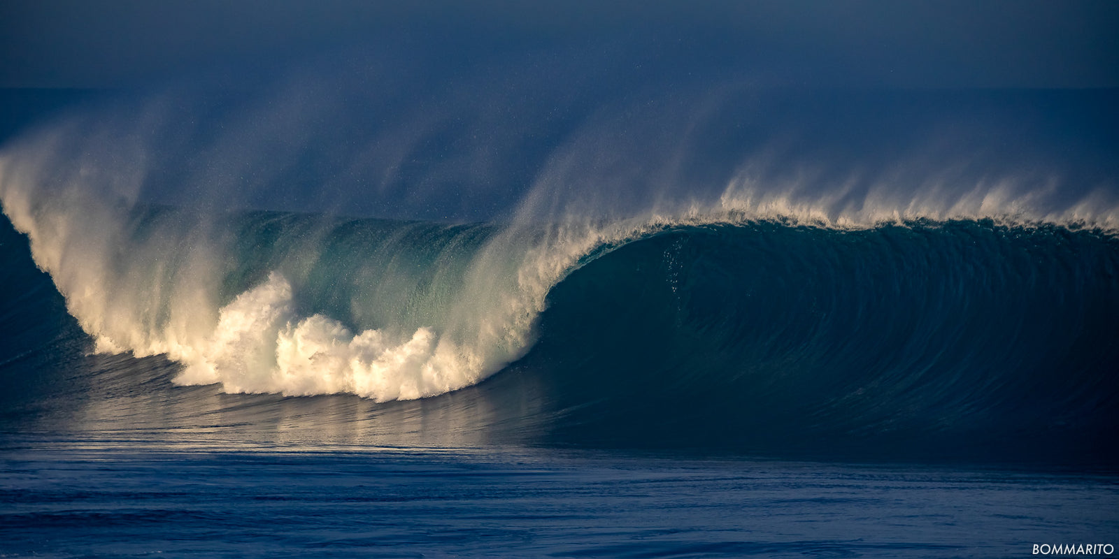 Reef Curl