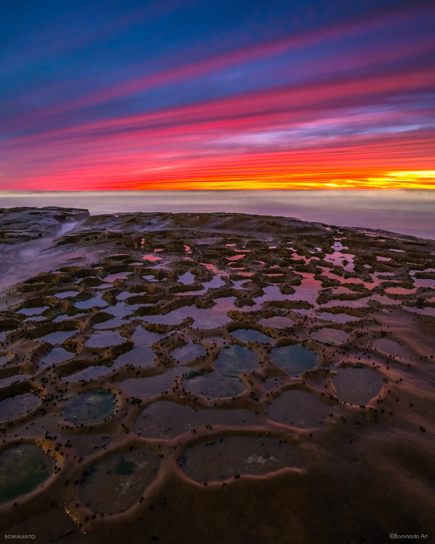 Reef Expression