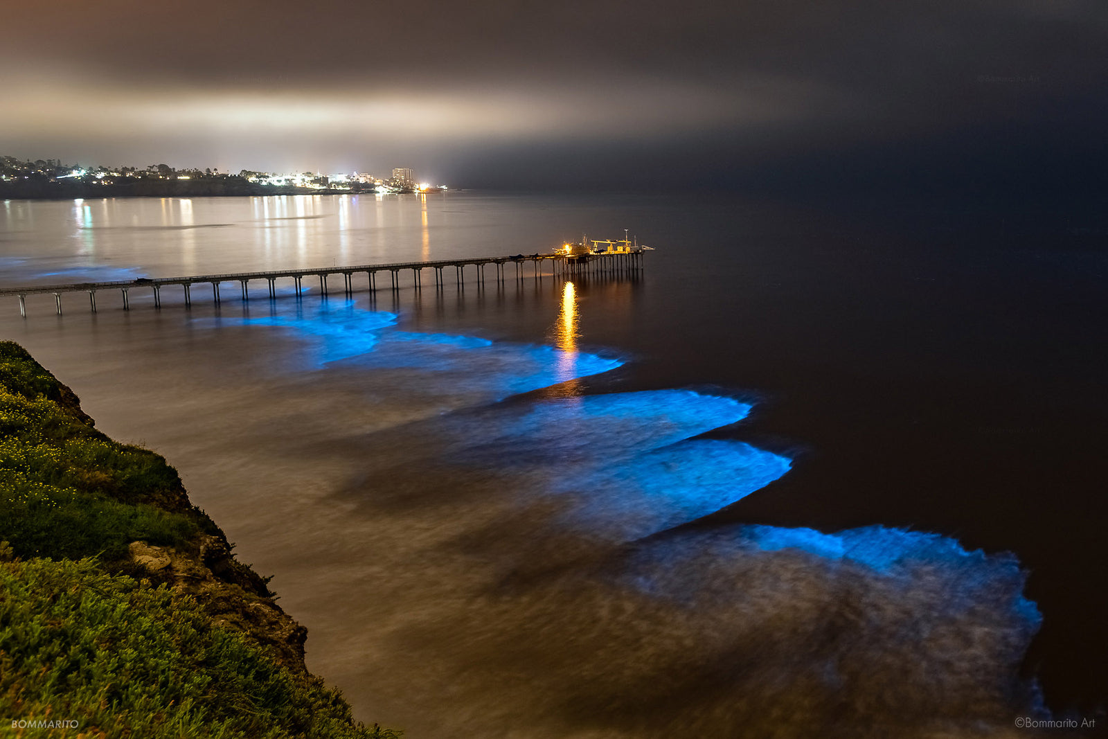 Scripps Bioluminescence