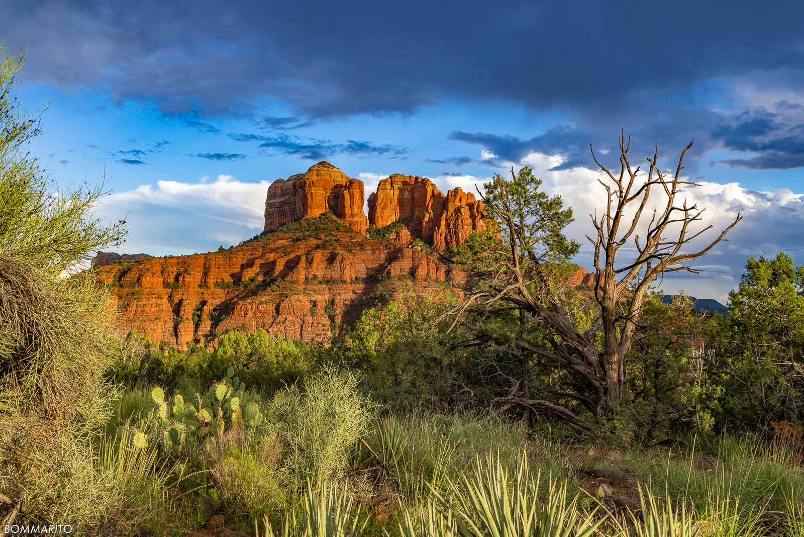Sedona Desert