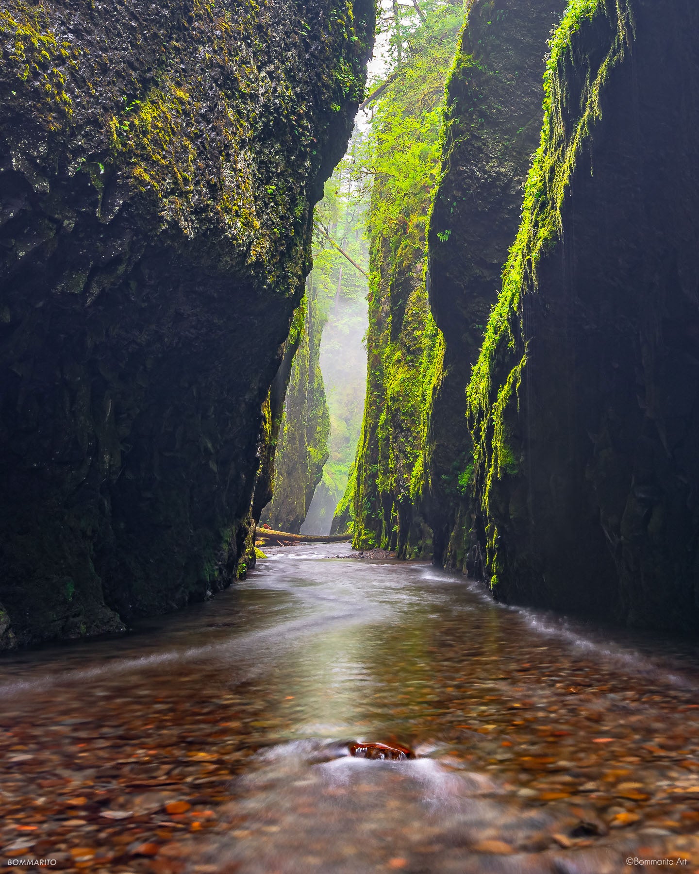 Serenity