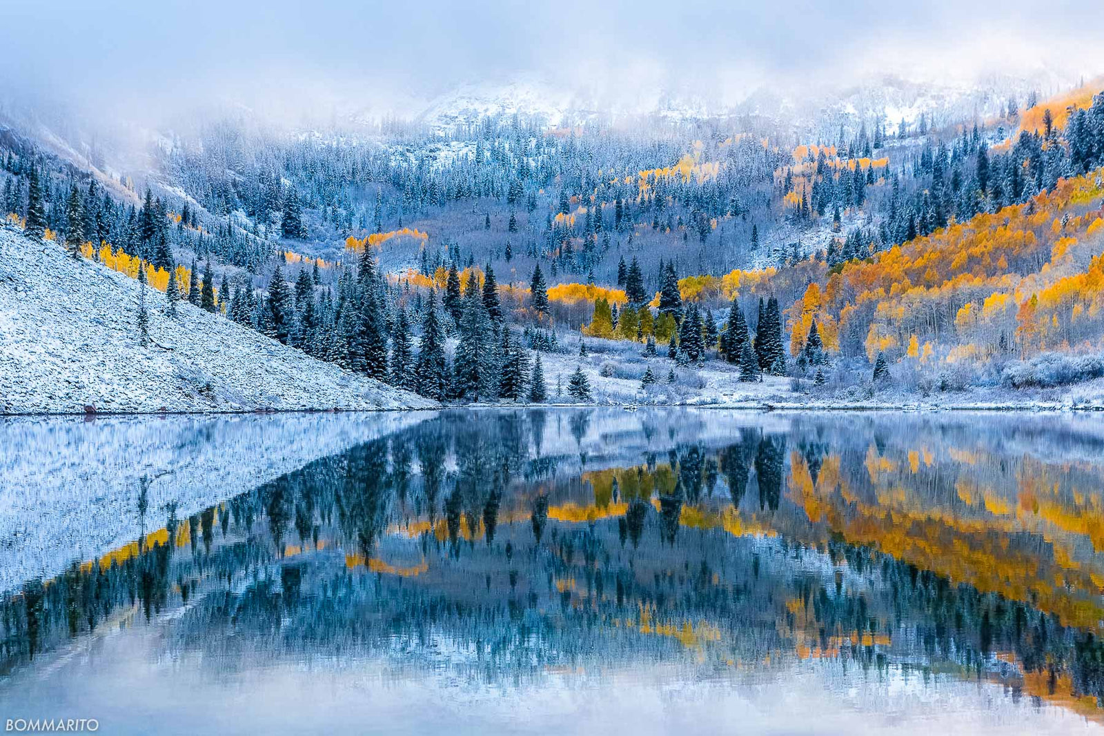 Snowy Autumn