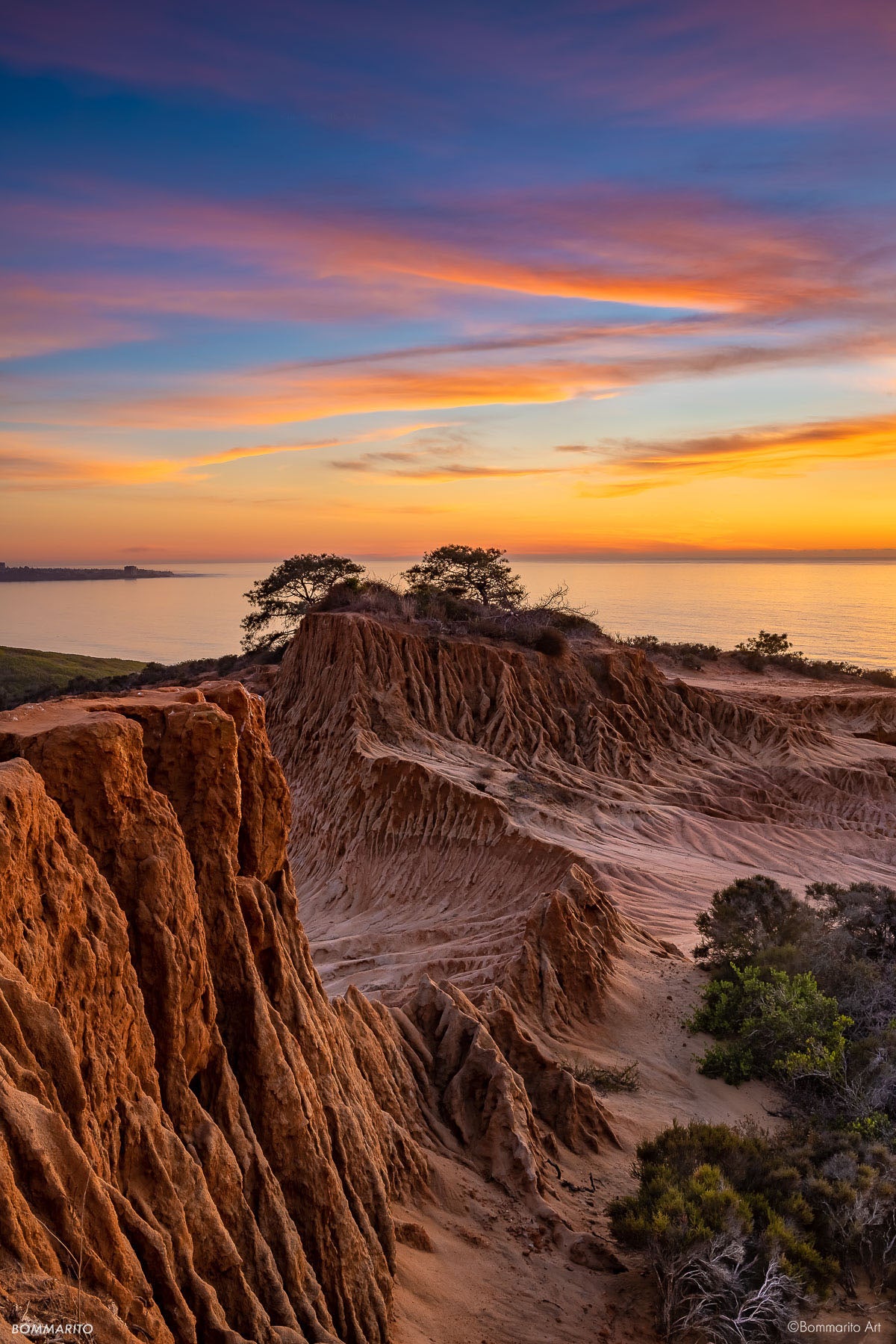 Torrey Natural Reserve