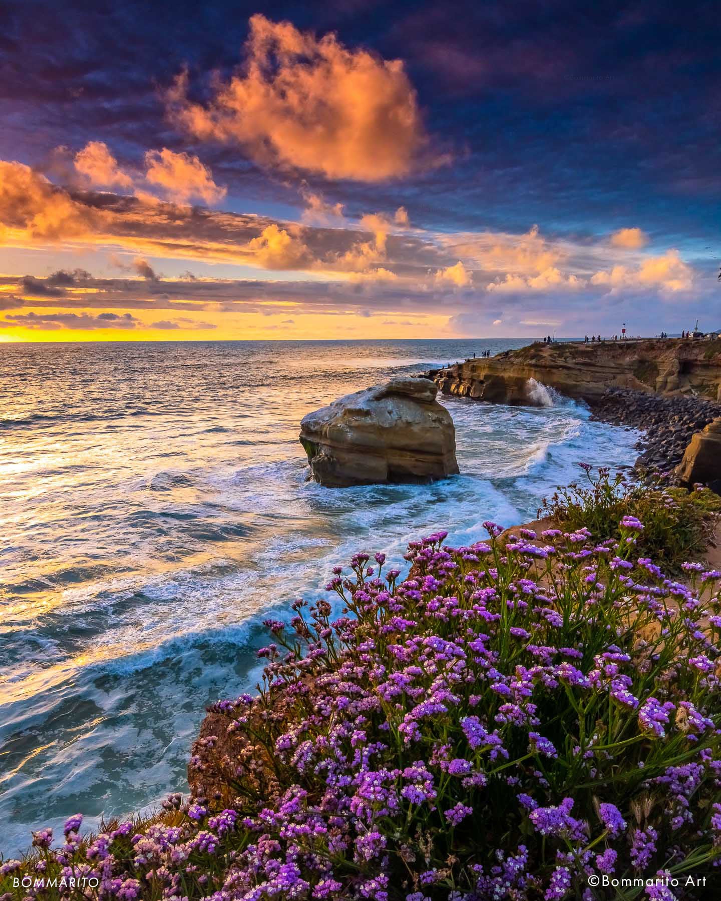 Sunset Lavender
