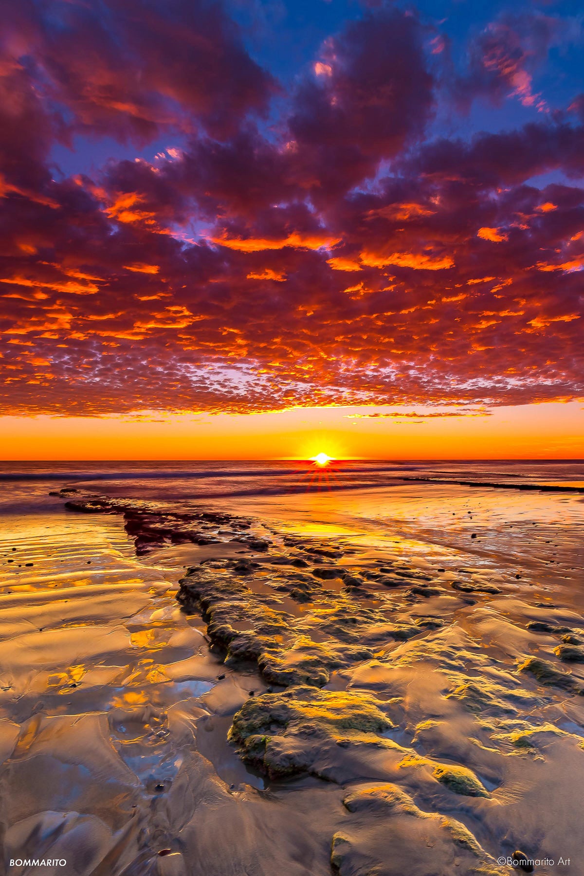 Swami's Reef II