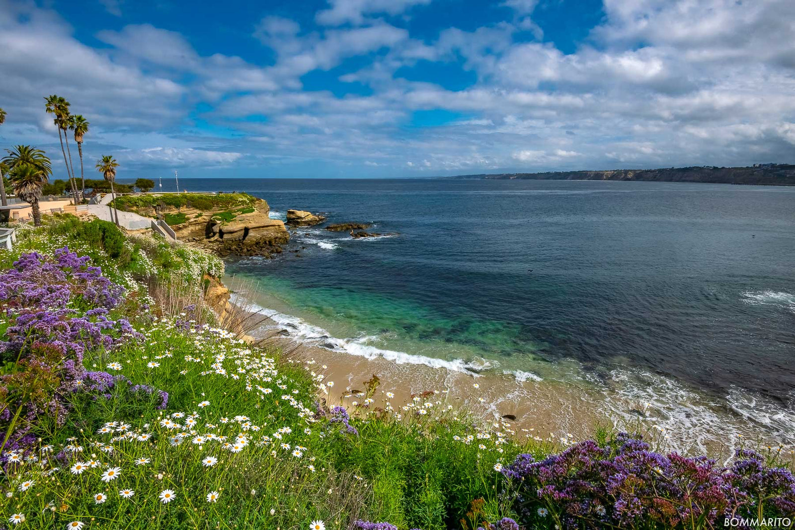 The Cove
