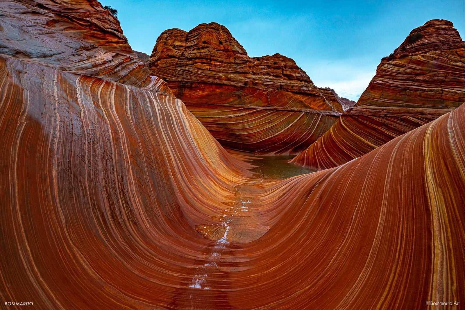 The Wave, Paria Canyon Wilderness