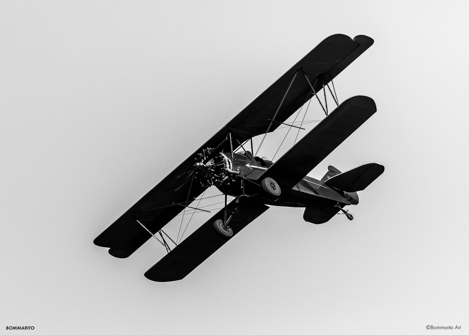 The Aviator