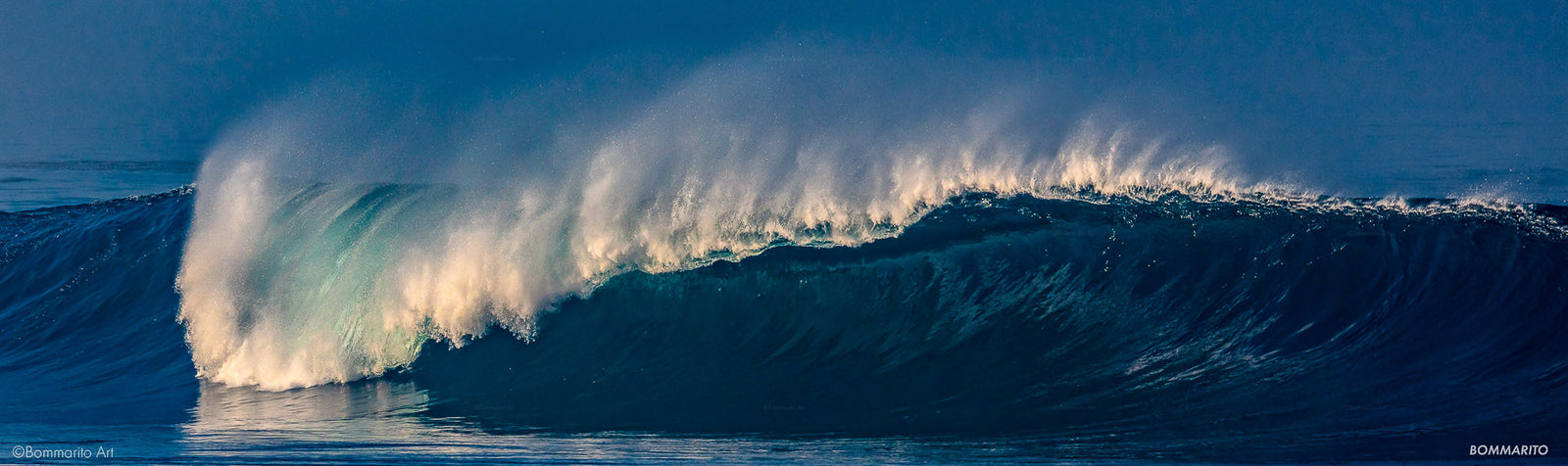 The Horseshoe Reef