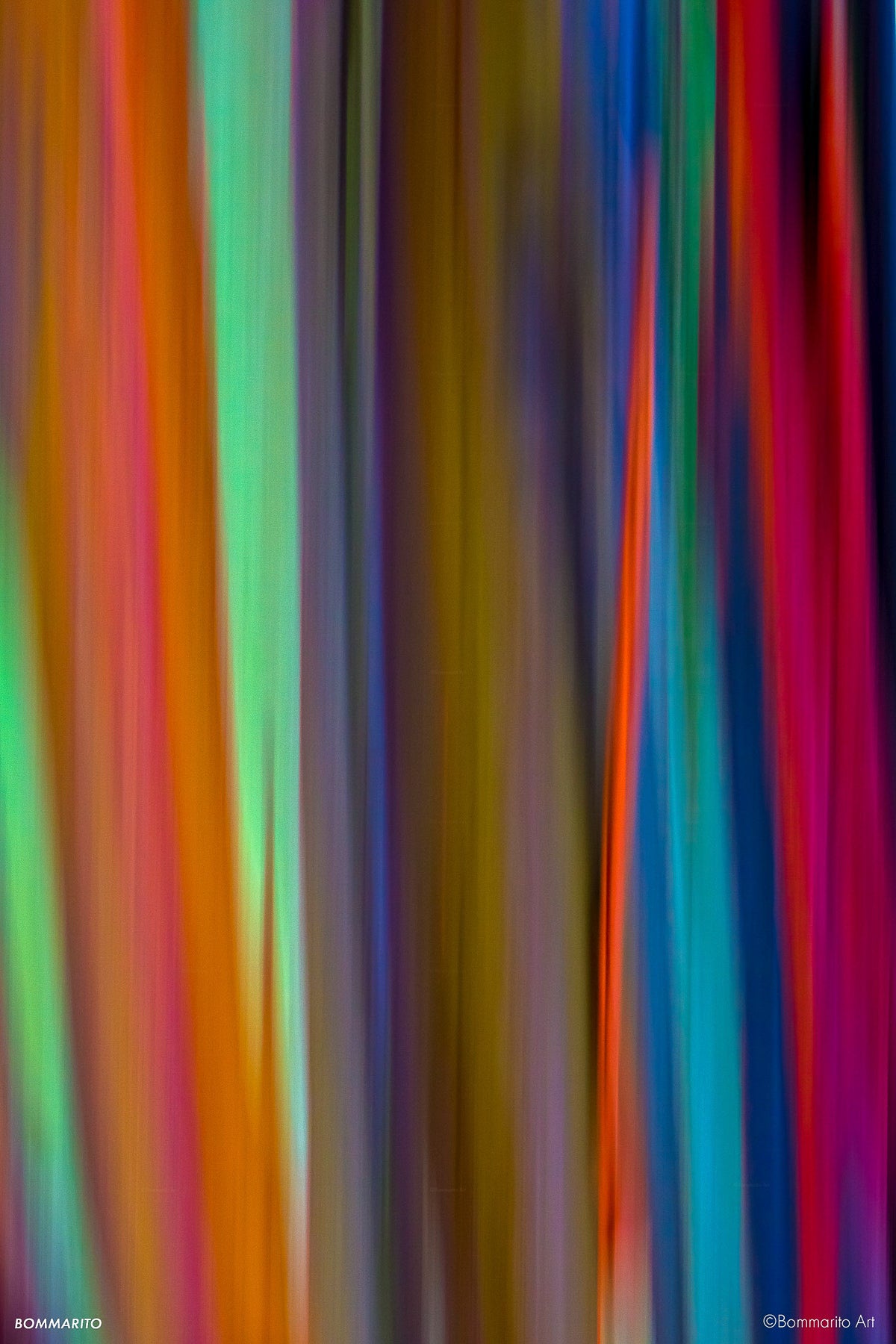 The Rainbow Eucalyptus