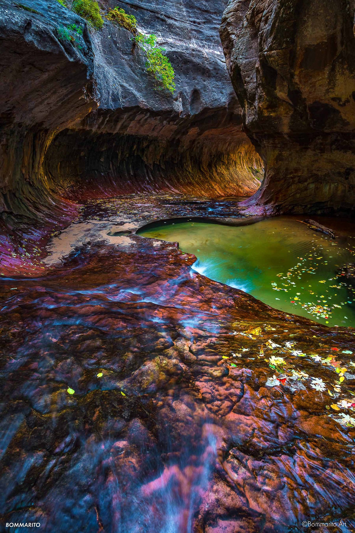 The Subway Canyon