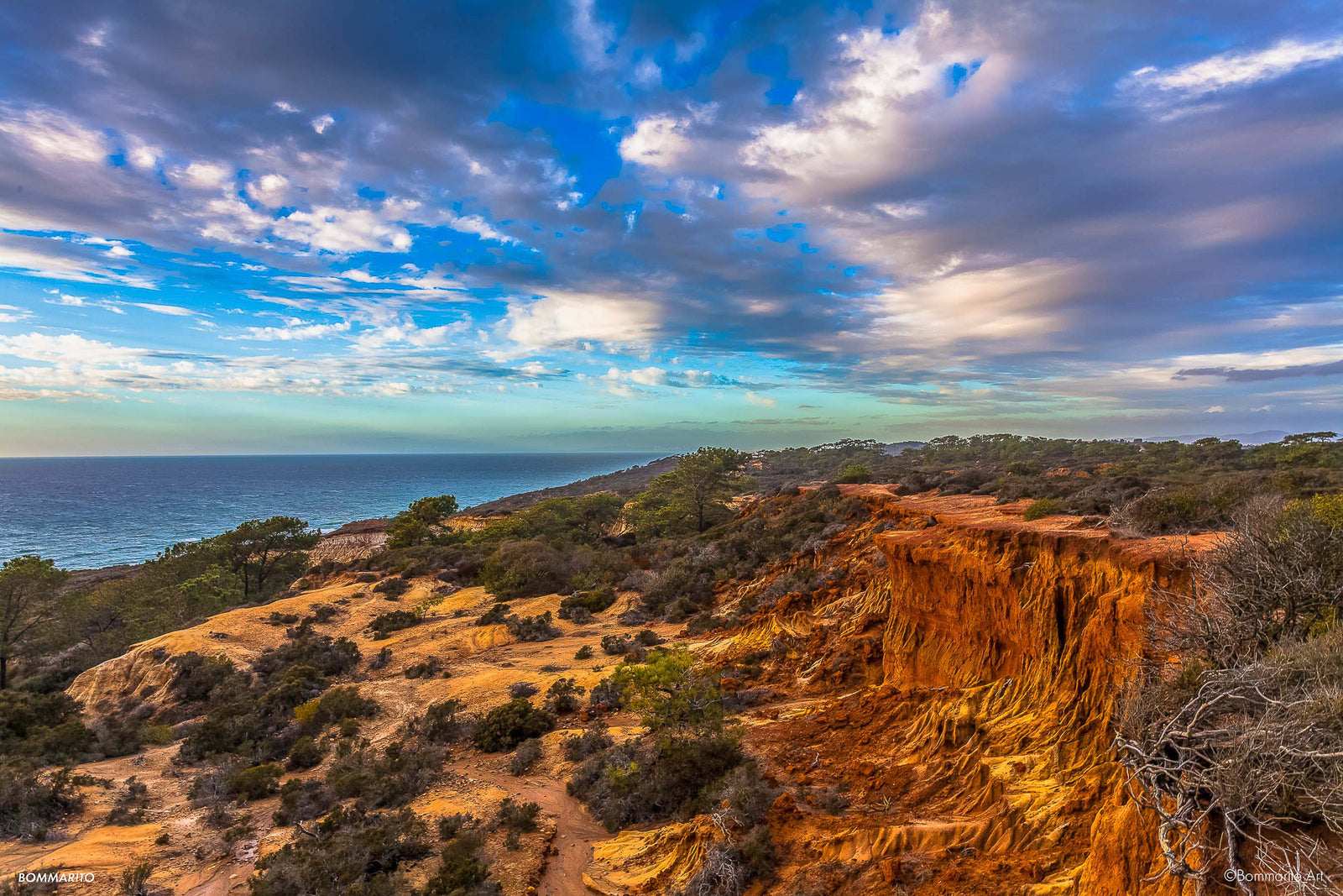 Torrey Pines Reserve
