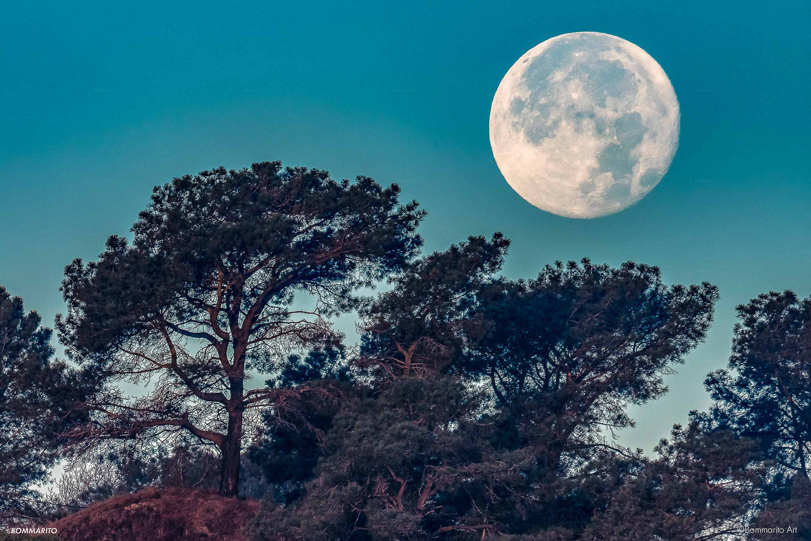Torrey Pines Supermoon