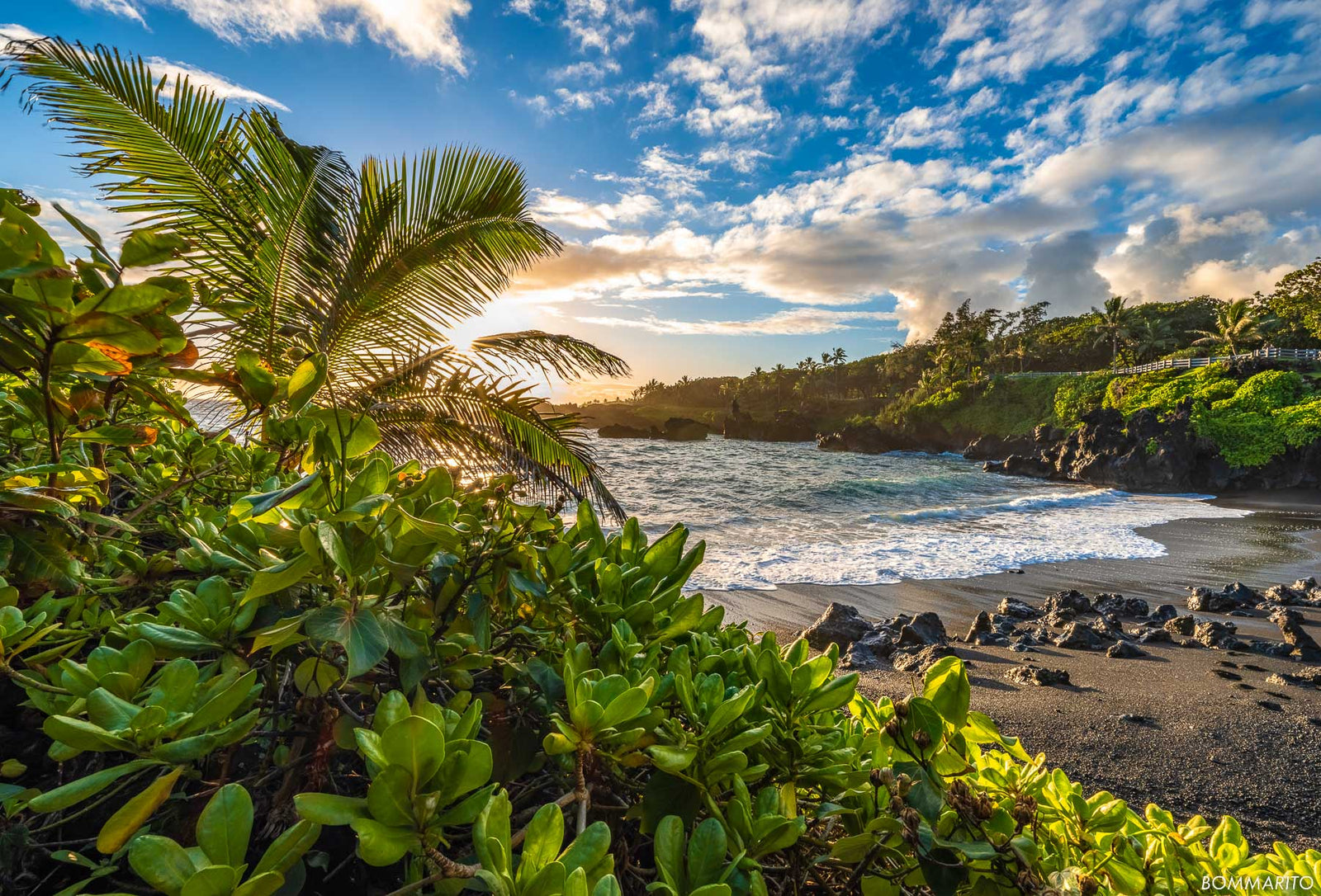 Waianapanapa Garden