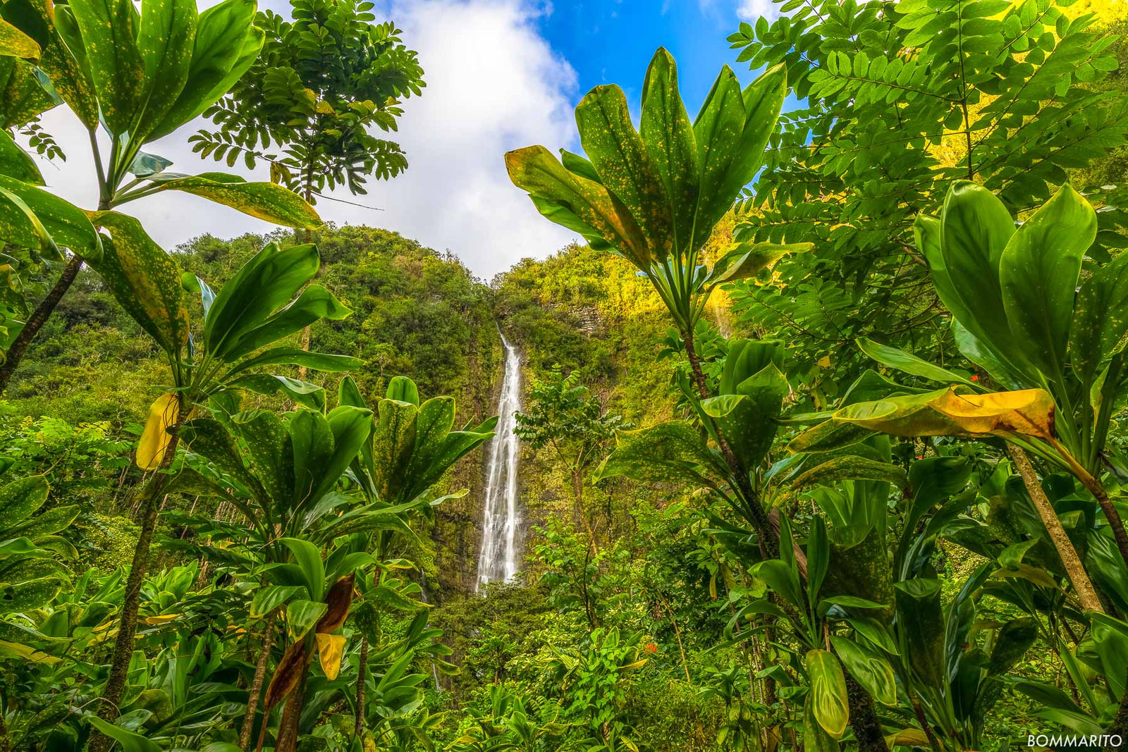 Waimoku Falls