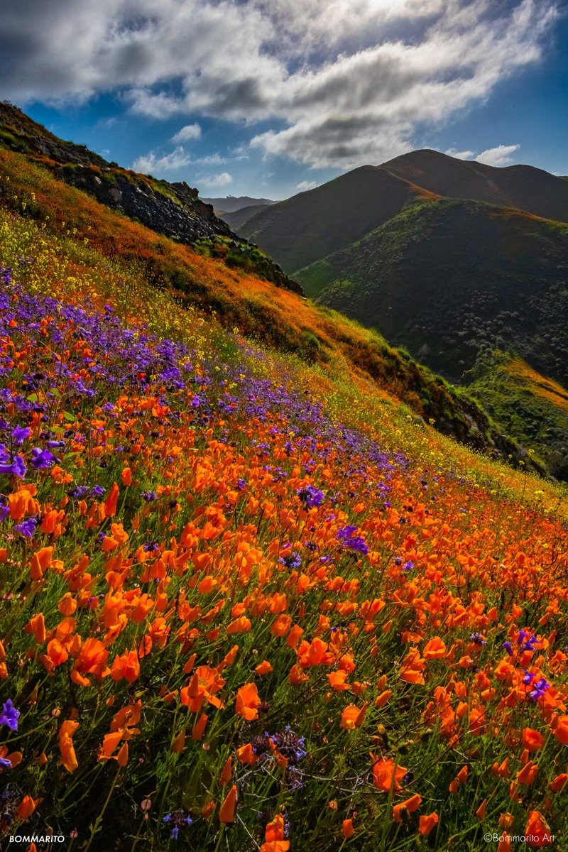 Walker Canyon
