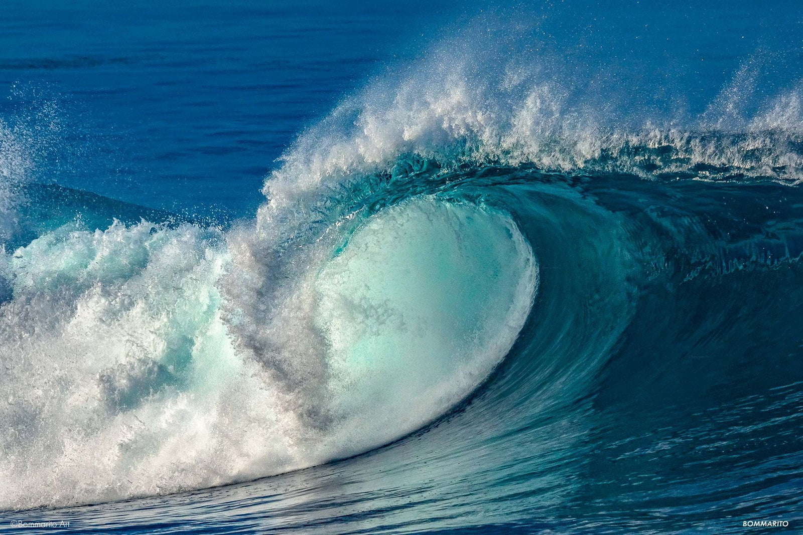 Wild Pacific